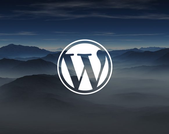 how can someone hack my wordpress website?