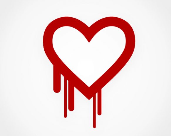 heartbleed: an openssl vulnerability
