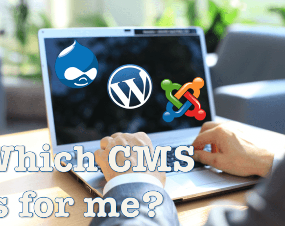 which cms platform is right for my website? wordpress