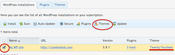 how to change a wordpress theme in plesk 12