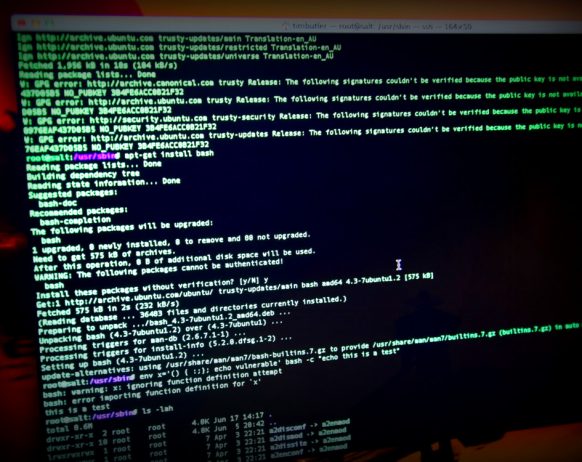 shellshock: a bash exploit