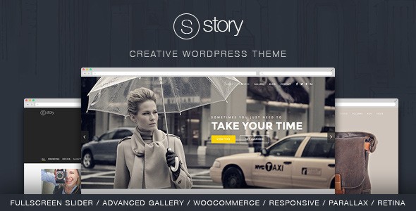 story wordpress theme