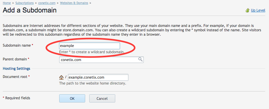 enter sub domain required in plesk 12