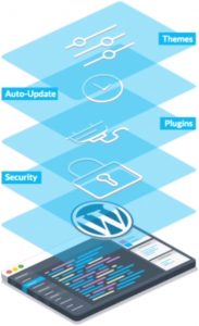 WP Toolkit for WordPress • Conetix