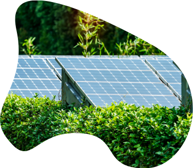 environmentally smart hosting